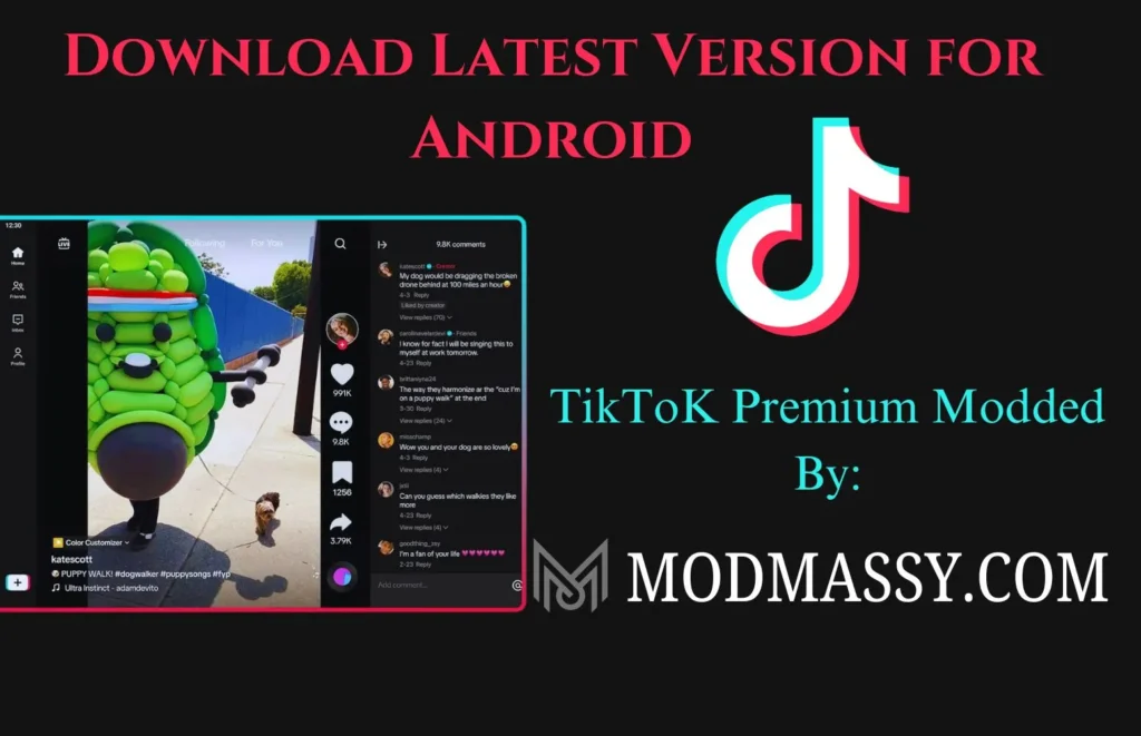 TikTok Premium 