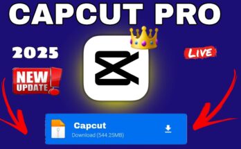 How to Download CapCut Mod APK V14.3.0 (Premium Unlocked) 2025